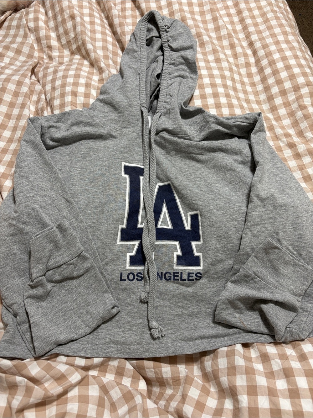 Eevee Light Gray Hoodie with Pink Logo Tag